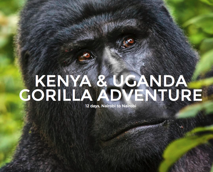 Uganda Gorilla Challenge