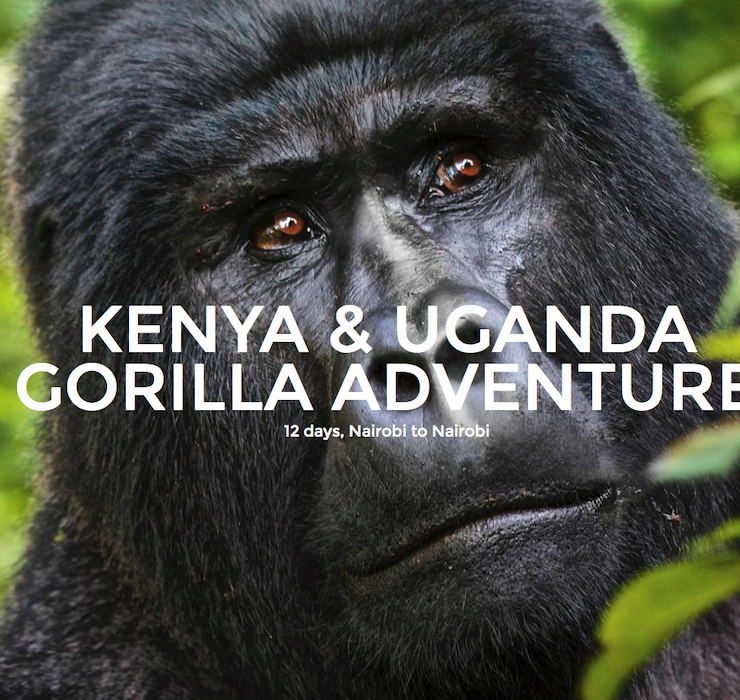 Uganda Gorilla Challenge