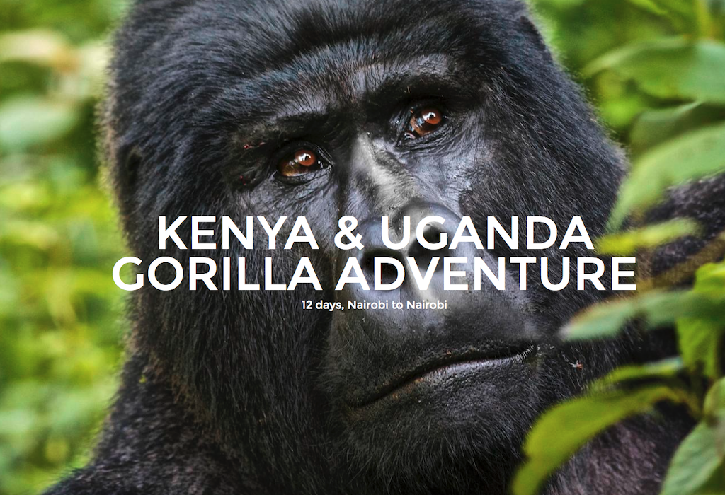 Uganda Gorilla Challenge
