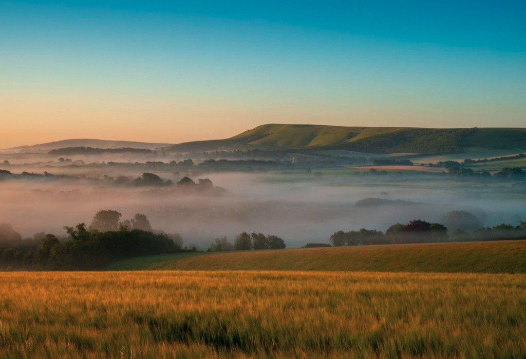 south-downs-way-trek-challenge
