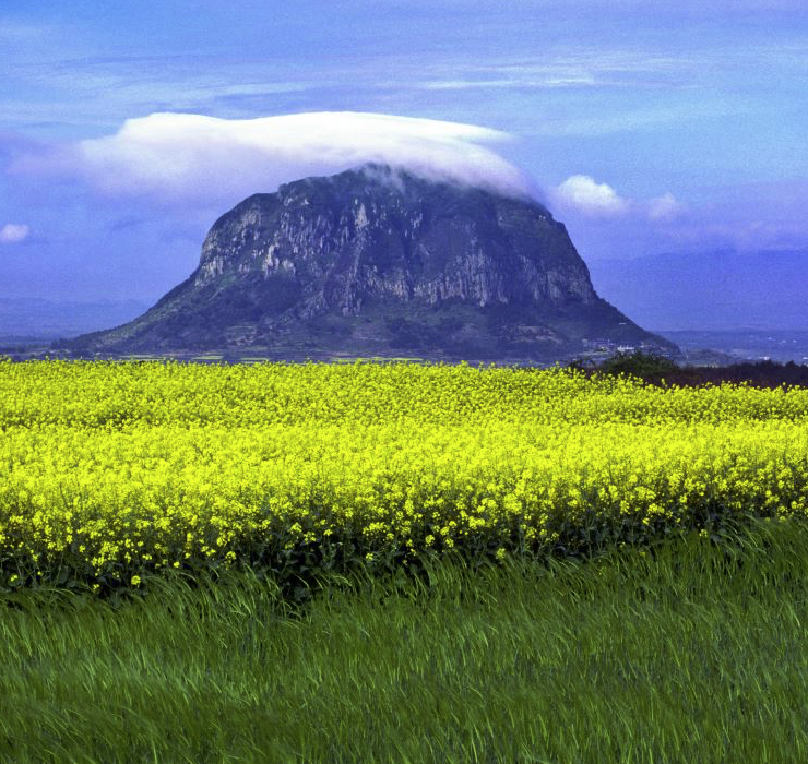 Mount Hallasan South Korea Challenge