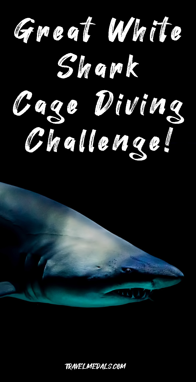 Great-White-Shark-Cage-Diving-Challenge