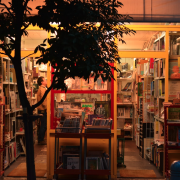 Japan Books